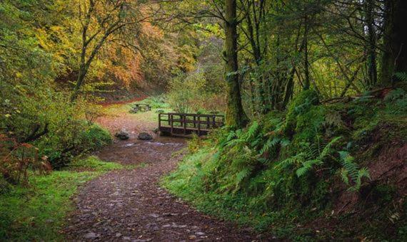 Cape Cottage Glyncorrwg Esterno foto